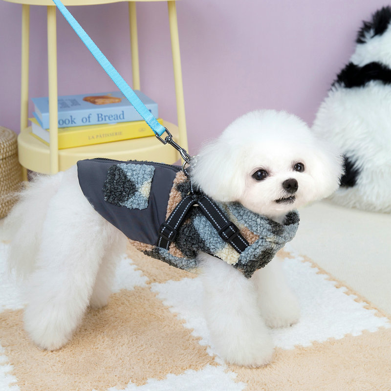 Vêtements pour animaux de comp - Winter Clothing Amazon avis et prix